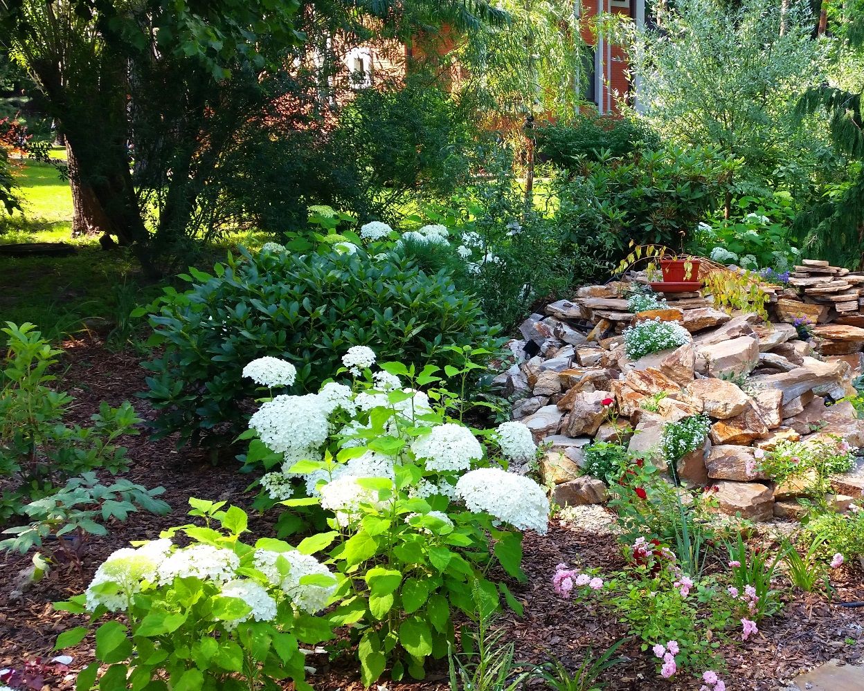 Проект Троицкое